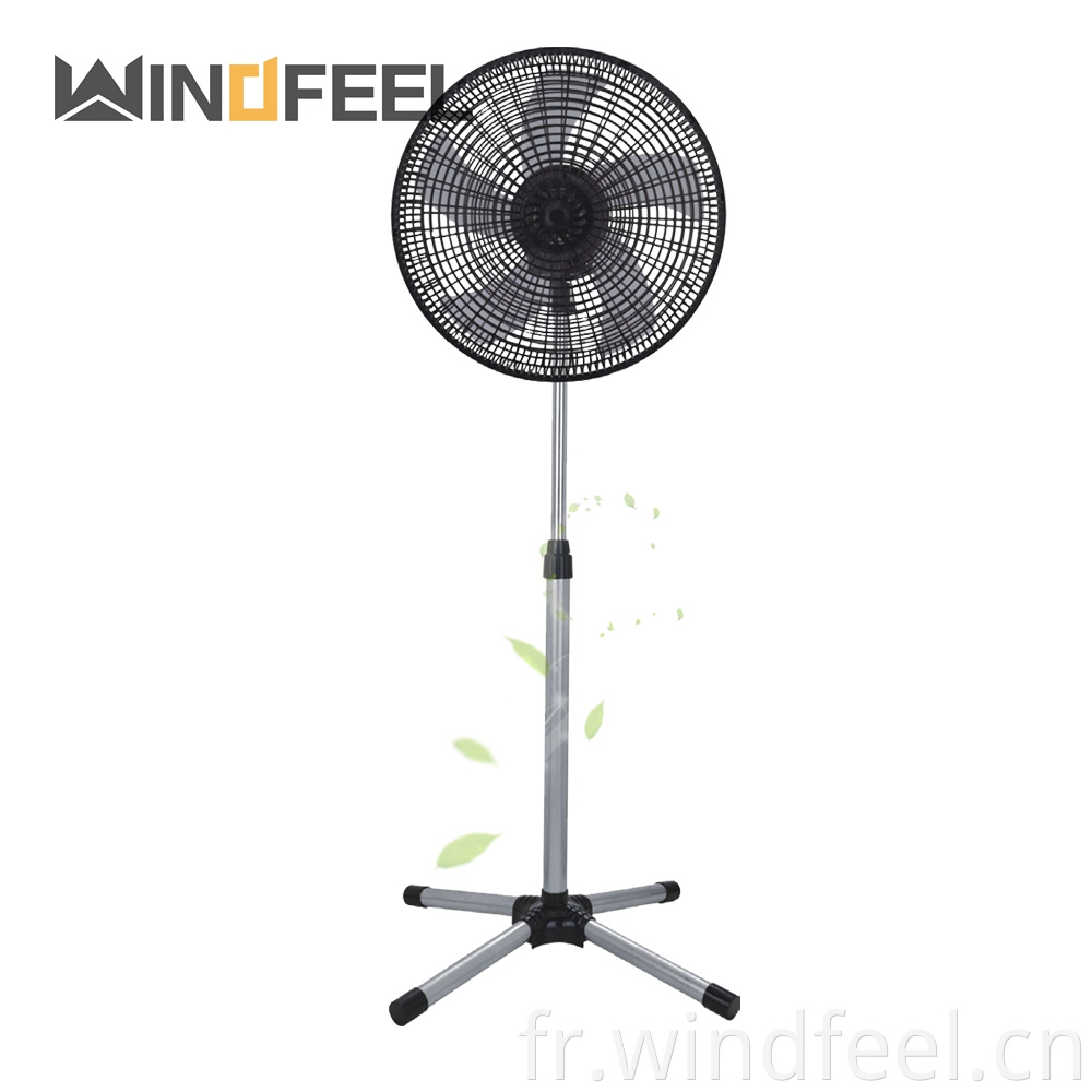 Afrique du sud amérique 220V intérieur Cooper moteur oscillant ventilateurs sur piédestal usage domestique 16 pouces support ventilateur électrique base croisée